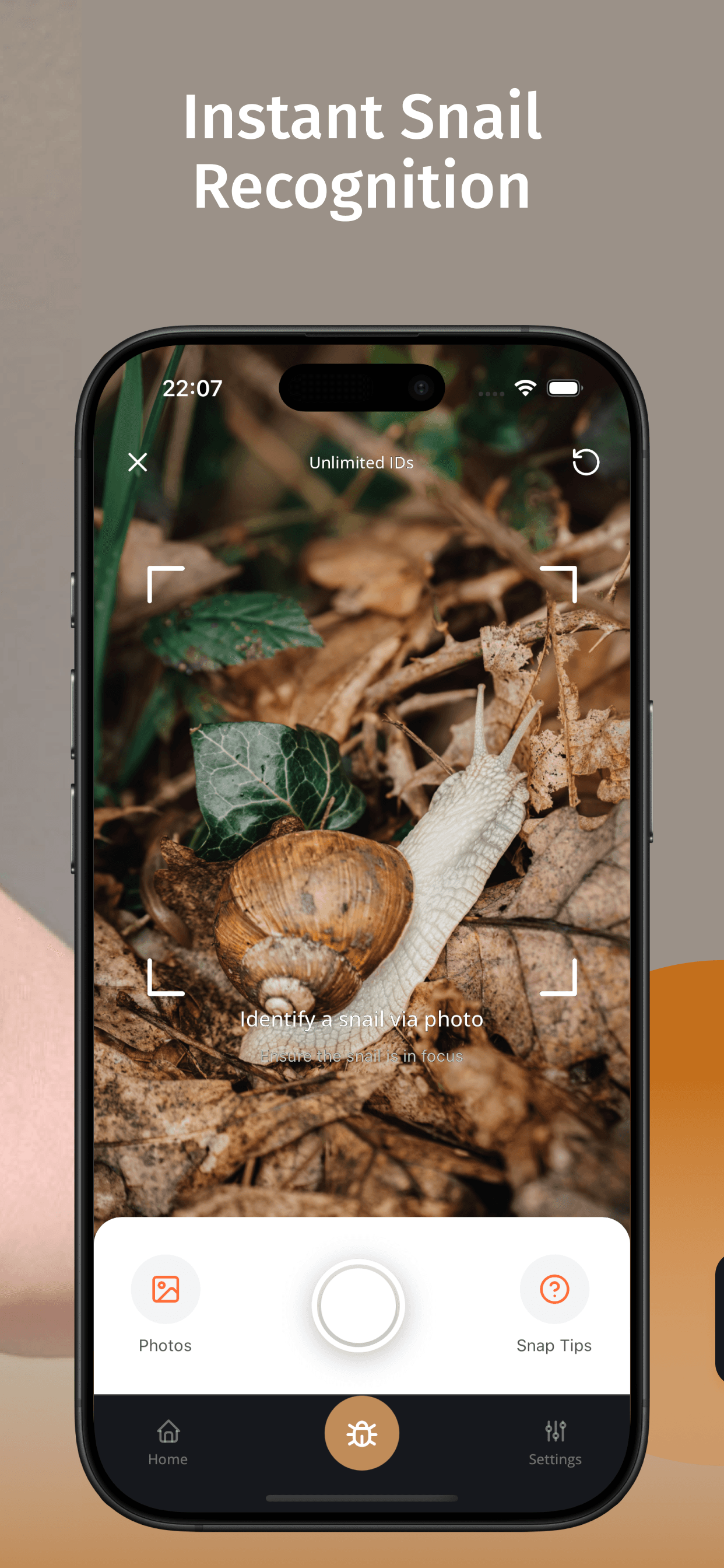 Snail Identifier hero screenshot