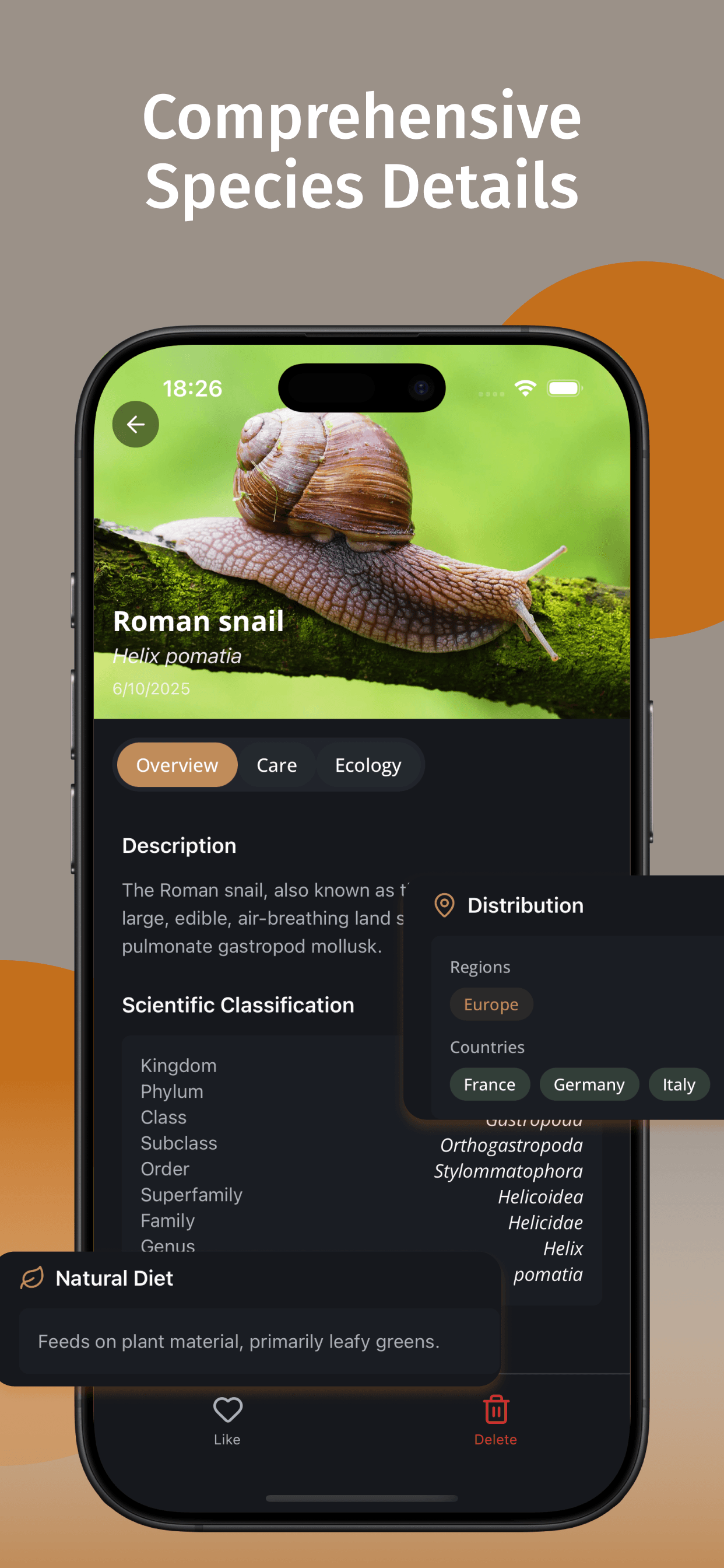 Snail Identifier screenshot 2