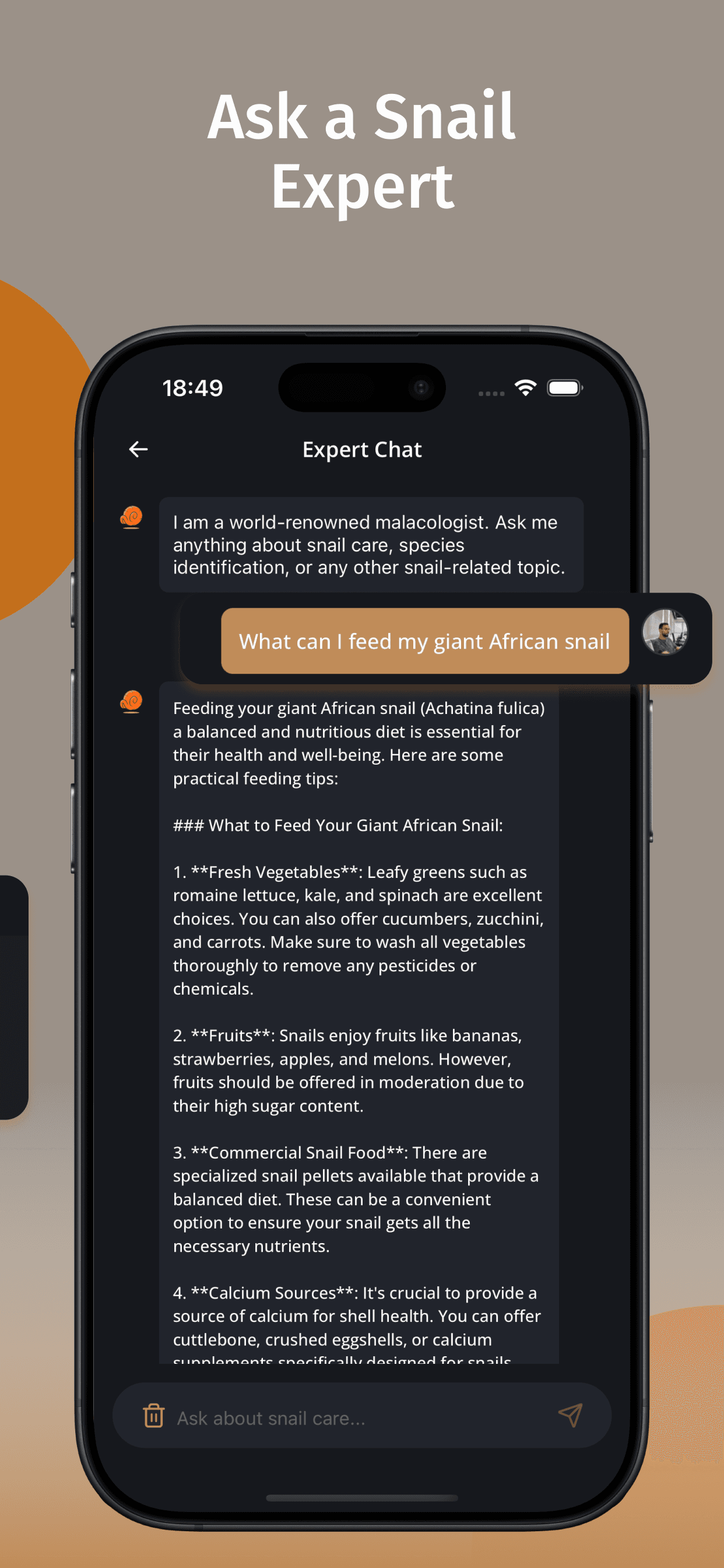Snail Identifier screenshot 3