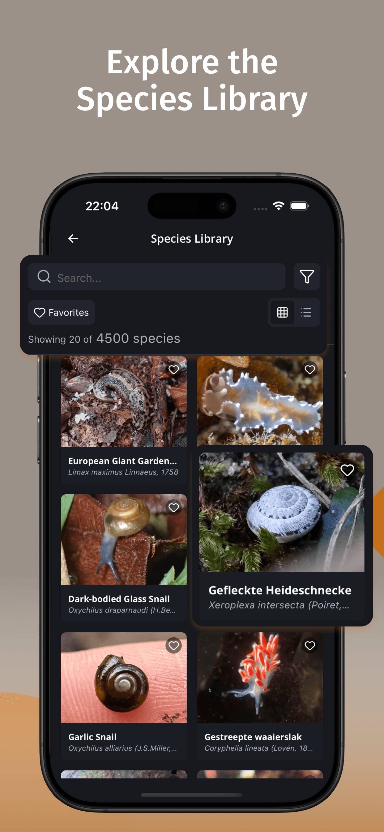 Snail Identifier screenshot 4