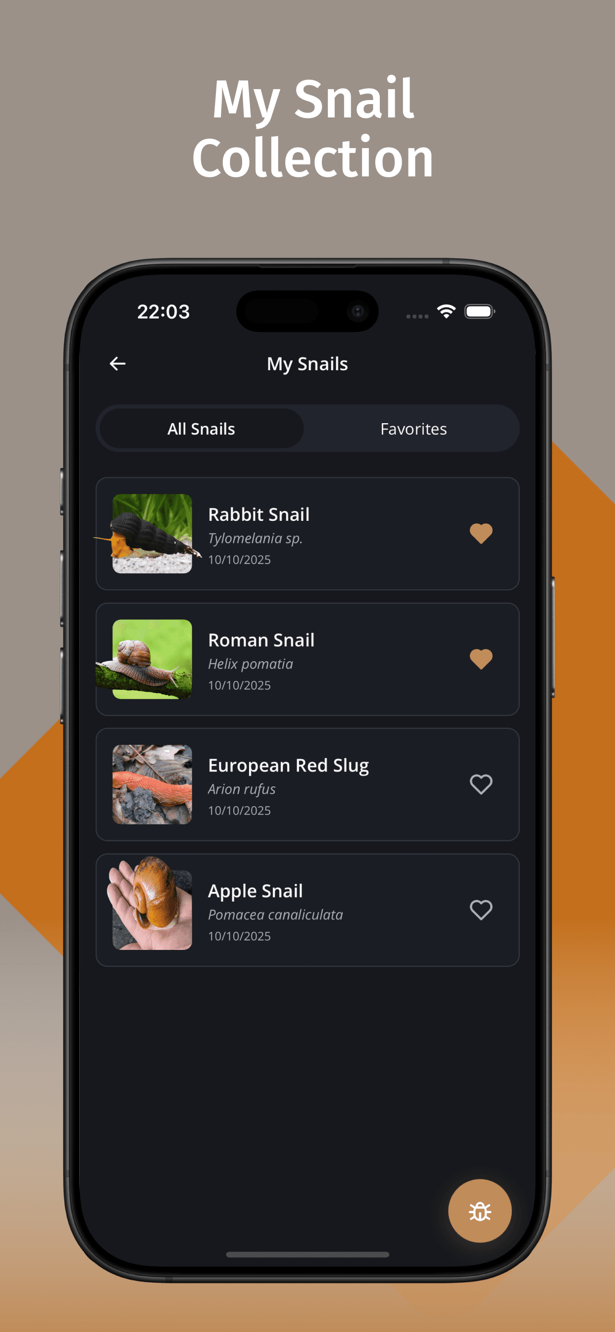 Snail Identifier screenshot 5